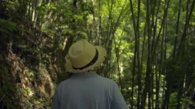 Hasır şapka giyen kadın turist, sabahleyin güneş ışığı altında tropikal yağmur ormanları arasında yol boyunca yürüyor. Namtok Raman Orman Parkı. Phang Nga Eyaleti. Tayland. Arka plan görüntüsü.
