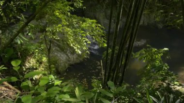 Küçük şelalenin güzel manzarası tropikal yağmur ormanları arasında doğal gölete akar. Ormandaki kayaların arasından akan tatlı suyla yemyeşil orman parkı. Kuş bakışı ve Panning çekimi. Namtok Raman Orman Parkı. Phang Nga Eyaleti.