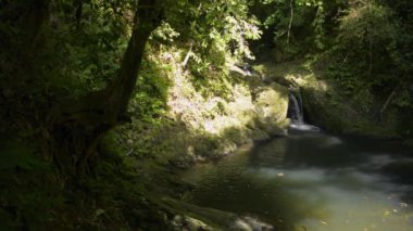 Dağlardan akan küçük bir şelale. Ormanda güneş ışığının altındaki doğal gölete akan güzel tatlı su. Namtok Raman Orman Parkı. Phang Nga bölgesi. Tayland.