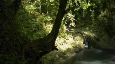 Dağlardan akan küçük bir şelale. Ormanda güneş ışığının altındaki doğal gölete akan güzel tatlı su. Namtok Raman Orman Parkı. Phang Nga bölgesi. Tayland. Döndürme Çekimi. 