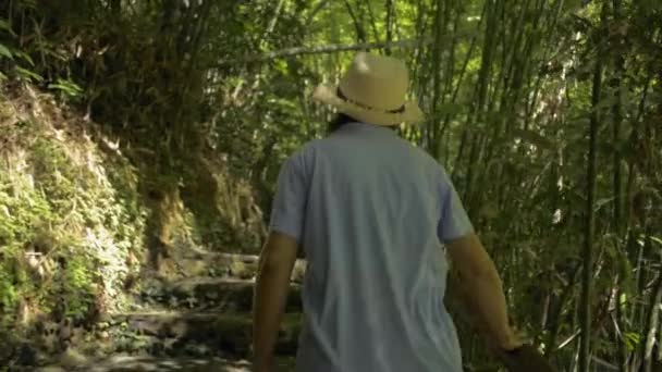 Turista Con Sombrero Paja Está Caminando Largo Del Sendero Entre — Vídeo de stock