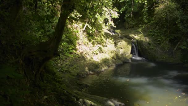 Pequena Cachoeira Fluindo Pelas Montanhas Bela Água Doce Fluindo Para — Vídeo de Stock