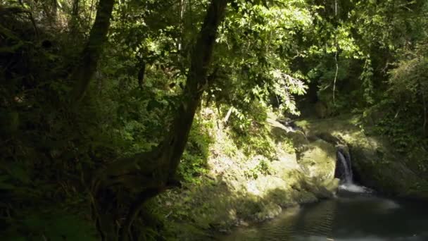 Mały Wodospad Przepływający Przez Góry Piękna Słodka Woda Płynąca Naturalnego — Wideo stockowe