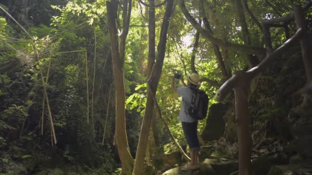 Турист Изучает Экологическую Целостность Верхнем Течении Леса Азиатская Туристка Соломенной — стоковое видео