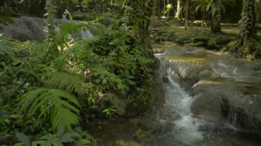 Kayaların üzerinden akan su akıntısının harika manzarası verimli ormanlarda, güneş ışığı altında yeşil bitkilerin arasından. Bereketli bitki örtüsüyle çevrili tropikal yağmur ormanlarının bolluğu. Tayland. Döndürme çekimi.