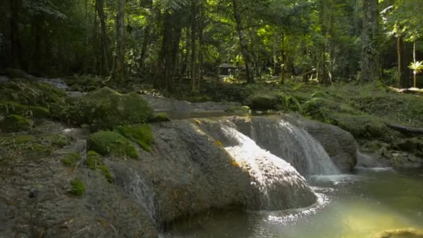 Maravilloso Paisaje Arroyo Agua Que Fluye Cascada Través Roca Pequeño — Vídeos de Stock