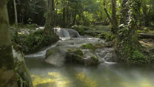 Prachtige Omgeving Van Waterstroom Stroomt Van Cascade Rotsen Door Groene — Stockvideo