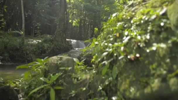 Révélez des paysages merveilleux de ruisseau d'eau coulant de la cascade sur les rochers à travers la plante verte sous la lumière du soleil dans la forêt fertile. L'abondance de la forêt tropicale humide avec cascade entourée d'une végétation feuillue luxuriante. Thaïlande.