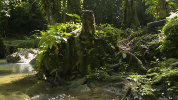 Cours d'eau coulant de la cascade sur les rochers à travers la plante verte sous la lumière du soleil dans la forêt fertile. L'abondance de la forêt tropicale humide avec cascade entourée d'une végétation feuillue luxuriante. Parc forestier de Sa Nang Manora. Thaïlande.