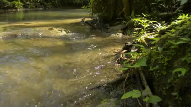Wasserströme fließen von Kaskaden über die Felsen durch grüne Pflanzen unter Sonnenlicht in fruchtbaren Wäldern. Der Reichtum an tropischem Regenwald mit kleinem Fluss, umgeben von üppiger Blattvegetation. Sa Nang Manora Waldpark. Thailand. 