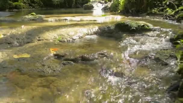 Panning Záběr Čerstvé Vody Tekoucí Kaskády Přes Skály Přes Zelenou — Stock video