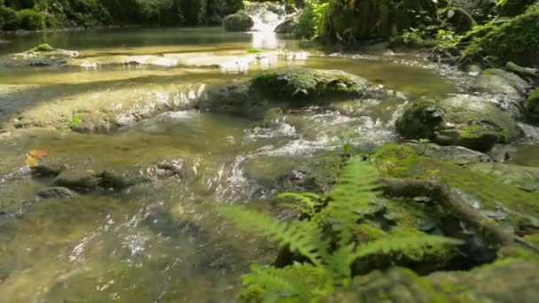 Wasserströme Fließen Von Kaskaden Über Die Felsen Durch Grüne Pflanzen — Stockvideo