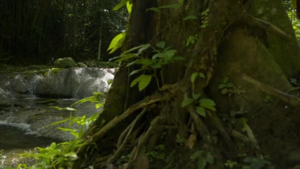 Відкриття Прісної Води Тече Каскаду Через Скелі Природний Ставок Під — стокове відео
