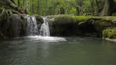 Ormandan yeşil bitkilerin arasından doğal gölete akan küçük şelalenin güzel manzarası. Tropikal yağmur ormanlarında yeşil yaz. Sa Nang Manora orman parkı. Phang Nga Eyaleti. Tayland.