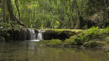 Ormandan yeşil bitkilerin arasından doğal gölete akan harika bir şelale manzarası. Tropikal yağmur ormanlarında yemyeşil yapraklar. Sa Nang Manora orman parkı. Phang Nga Eyaleti. Tayland.