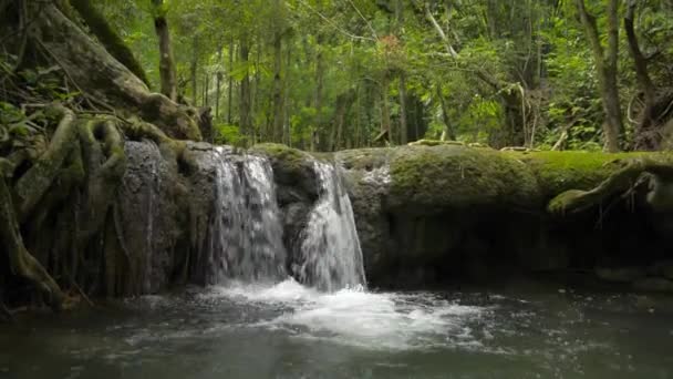 Levantando Tiro Belas Paisagens Pequena Cachoeira Que Flui Selva Através — Vídeo de Stock