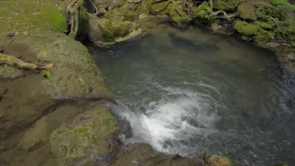 Вид Сверху Стремительный Маленький Водопад Впадающий Пруд Природном Парке Свежесть — стоковое видео