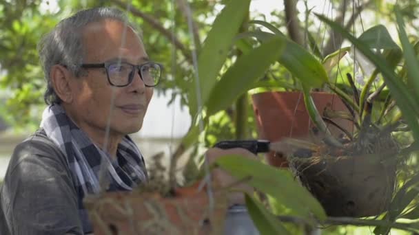 Азиатский Старший Мужчина Повседневной Одежде Пользуется Распыления Воды Орхидей Саду — стоковое видео