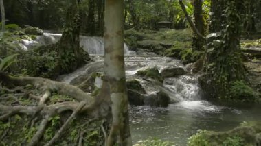Kayaların üzerinden akan su akıntısının harika manzarası verimli ormanlarda, güneş ışığı altında yeşil bitkilerin arasından. Bereketli bitki örtüsüyle çevrili tropikal yağmur ormanlarının bolluğu. Döndürme çekimi.