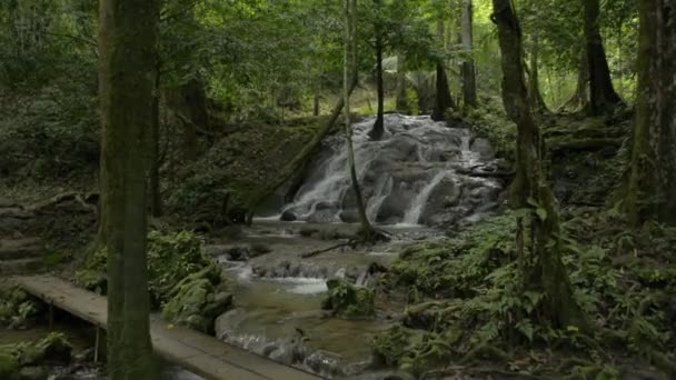 Landstroom Waterval Stroomt Rotsen Door Groene Planten Het Tropische Regenwoud — Stockvideo