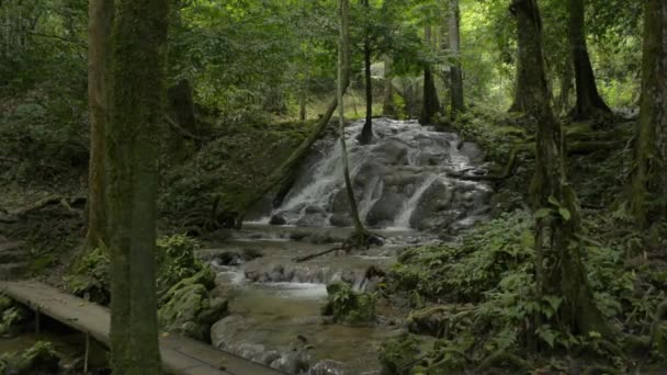 Maravilloso Paisaje Arroyo Agua Que Fluye Cascada Sobre Las Rocas — Vídeos de Stock