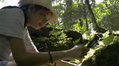 Büyüteç kullanarak hasır şapka takan Asyalı tatlı kız tropikal yağmur ormanlarındaki yeşil bitki örtüsünün detaylarına bakıyor. Sınıf dışında öğreniyorum. Doğal Ekosistem Çalışması.