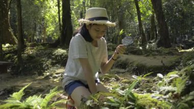 Asyalı şirin kız hasır şapka takıyor ve büyüteç kullanıyor. Tropikal ormanda güneş ışığı altında eğitim için yeşil floranın detaylarını görmek için. Sınıf dışından bilgi. Doğa ve Koruma.