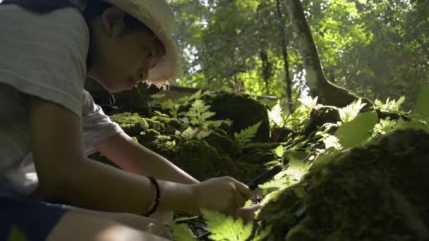 Asiatica Giovane Ragazza Indossa Cappello Paglia Guardando Dettagli Delle Piante — Video Stock