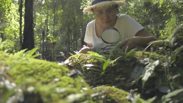 アジアの女性植物学者は 熱帯林の生態系の植物や動物の詳細を確認し ノートにデータを書き留めるために虫眼鏡を使用しています 自然から学ぶ 環境保全 — ストック動画