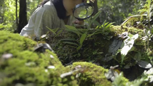 藁帽子をかぶったアジアのかわいい女の子が座っていると日光の下で教育のための緑の植物の詳細を見るために虫眼鏡を使用しています 教室の外での知識 自然と保全 撃たれたぞ 植物に焦点を当てる — ストック動画