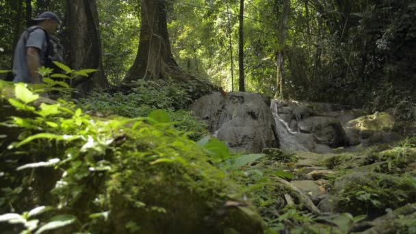 Asiatisk Familj Vandrar Tillsammans Tropisk Skog Och Njuter Att Vacker — Stockvideo