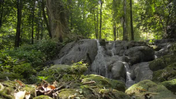 Overvloed Aan Tropisch Bos Met Waterval Die Door Rots Stroomt — Stockvideo
