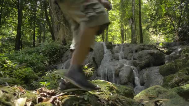 Paisaje Cascada Que Fluye Entre Vegetación Verde Con Excursionista Caminando — Vídeos de Stock