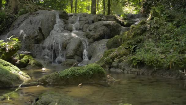 Die Landschaft Des Wasserfalls Fließt Durch Den Felsen Inmitten Üppiger — Stockvideo