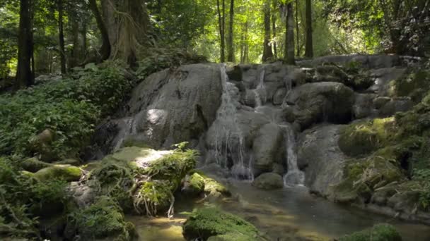 Abundancia Bosque Tropical Con Cascada Que Fluye Través Roca Entre — Vídeo de stock