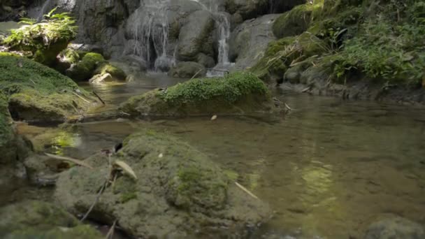 Kippschuss Von Süßwasser Fließt Aus Kaskade Tropischen Wald Sommer Die — Stockvideo