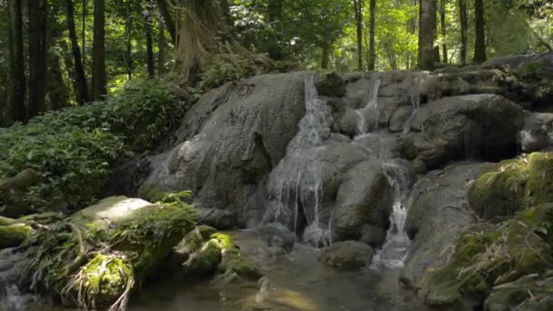 Fresh Water Flows Cascade Tropical Forest Summer Scenery Waterfall Flowing — Stock Video