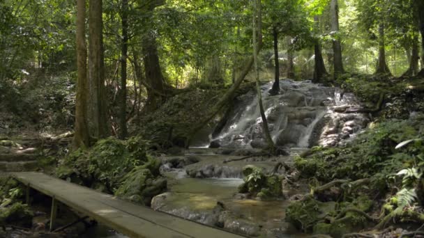 Kayaların Üzerinden Akan Akıntısının Güzel Manzarası Verimli Ormandaki Yeşil Bitkinin — Stok video