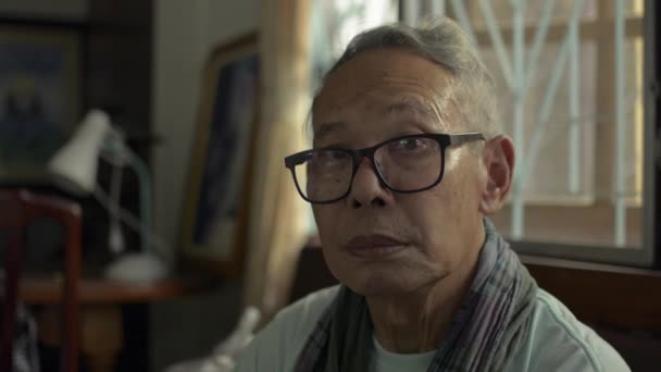 面白い高齢者の祖父は自宅で彼の眉をポーズビデオポートレートを上げて シニアの白髪の男がリビングルームでカメラを見て眼鏡をかけている 健康的な定年 — ストック動画