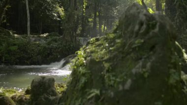 Taze suyun açığa çıkması kayalıklardan hızlı bir şekilde verimli ormandaki güneş ışığı altındaki doğal bir gölete akar. Yeşil bitki örtüsüyle çevrili tropikal yağmur ormanlarının bolluğu. Phang Nga Eyaleti. Tayland.