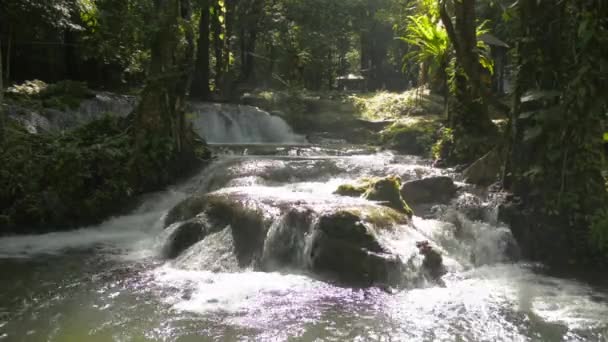 Maravilloso Paisaje Arroyo Agua Que Fluye Rápidamente Desde Cascada Sobre — Vídeos de Stock