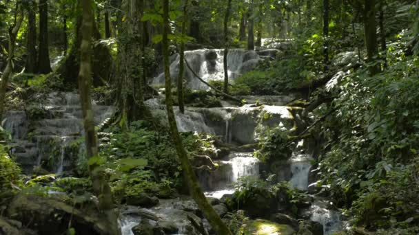 Magnifique Paysage Forêt Tropicale Avec Cascade Coulant Travers Roche Parmi — Video