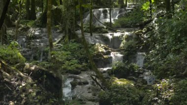 Tayland 'daki vahşi orman ortamında yemyeşil bitki örtüsü arasında güzel şelalelerin manzarası. Seyahat ve macera manzarası.