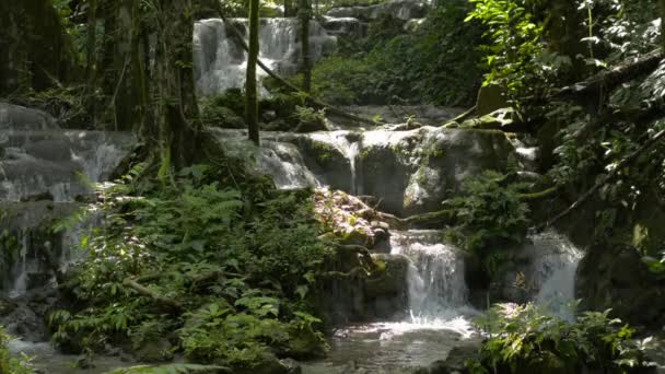 緑の植生の間の岩を流れる滝と素晴らしい景色熱帯林 夏の間 ジャングルのカスケードから新鮮な水が流れます サナンManora森林公園 — ストック動画