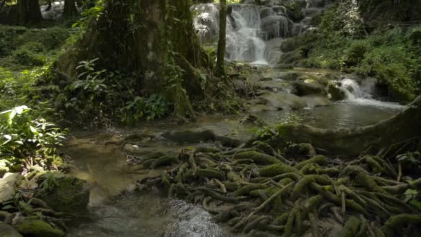 Fräsch Bäckennatur Tropisk Skog Thailand Små Vattenfall Rinner Genom Klipporna — Stockvideo