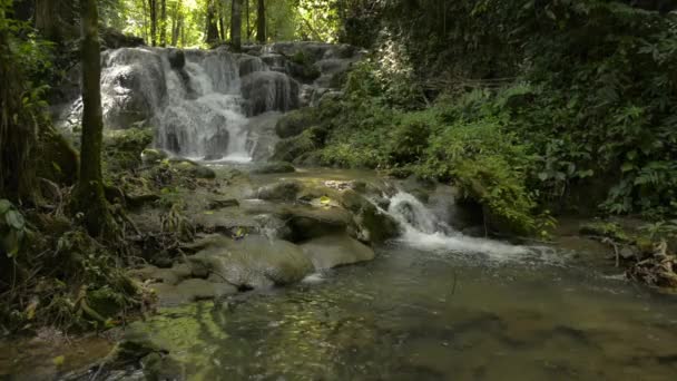 Maravilloso Paisaje Cascada Que Fluye Través Roca Entre Exuberante Vegetación — Vídeos de Stock