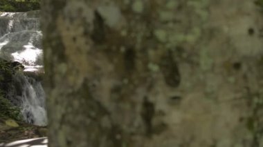 Şelaleden taşların üzerine akan su akıntısının bereketli ormandaki güneş ışığı altındaki yeşil bitkinin muhteşem manzarasını gözler önüne seriyor. Sa Nang Manora orman parkı. Phang Nga Eyaleti. Tayland.