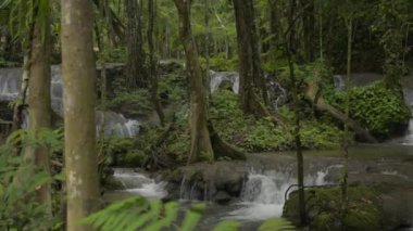 Şelale yağmur mevsiminde yeşil bitkiler arasında kayaların arasından akar. Doğada güzellik. Tropikal ormandaki şelaleden akan akarsular. Phang Nga Eyaleti. Tayland. Parallax iğnesi.