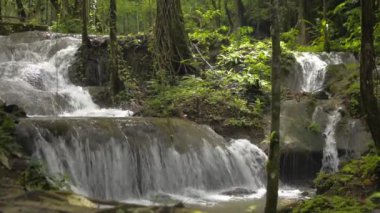 Tropikal ormandaki şelaleden akan akarsular. Şelale yağmur mevsiminde yeşil bitkiler arasında kayaların arasından akar. Doğada güzellik. Phang Nga Eyaleti. Tayland.