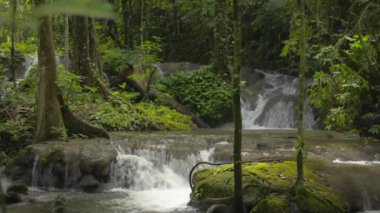 Taze su kayaların üzerinden, verimli ormanlarda, güneş ışığı altında yeşil bitkilerin arasından akar. Phang Nga Eyaleti. Tayland.